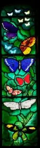 Butterflies Stained Glass John Piper