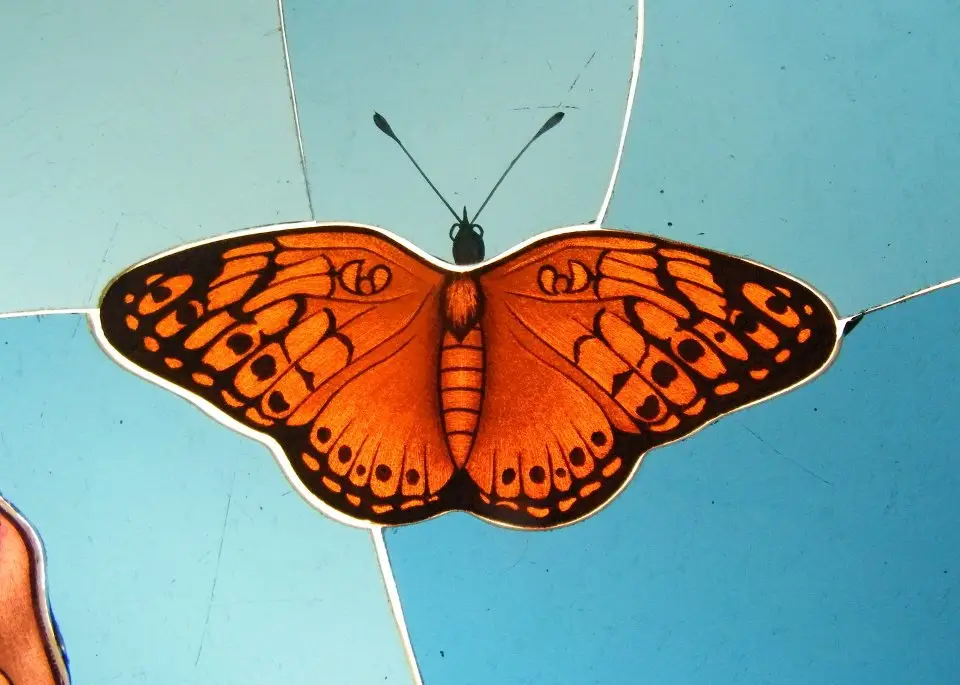 Glass Painting Orange Butterfly