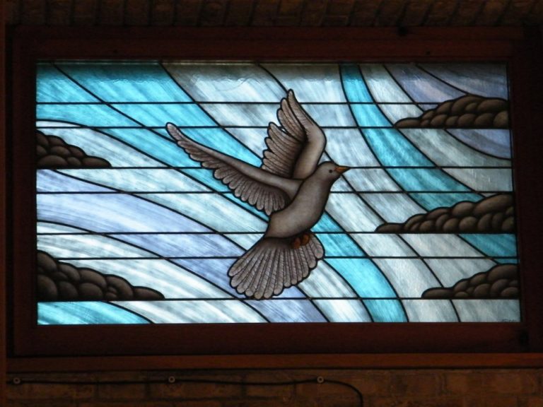 Stained Glass Dove - Fano