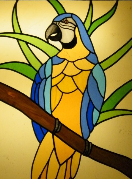 Stained Glass Course Parrot
