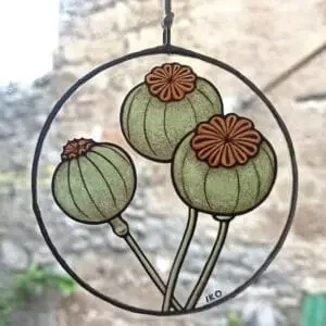 Papaver Oppio Illustrazione