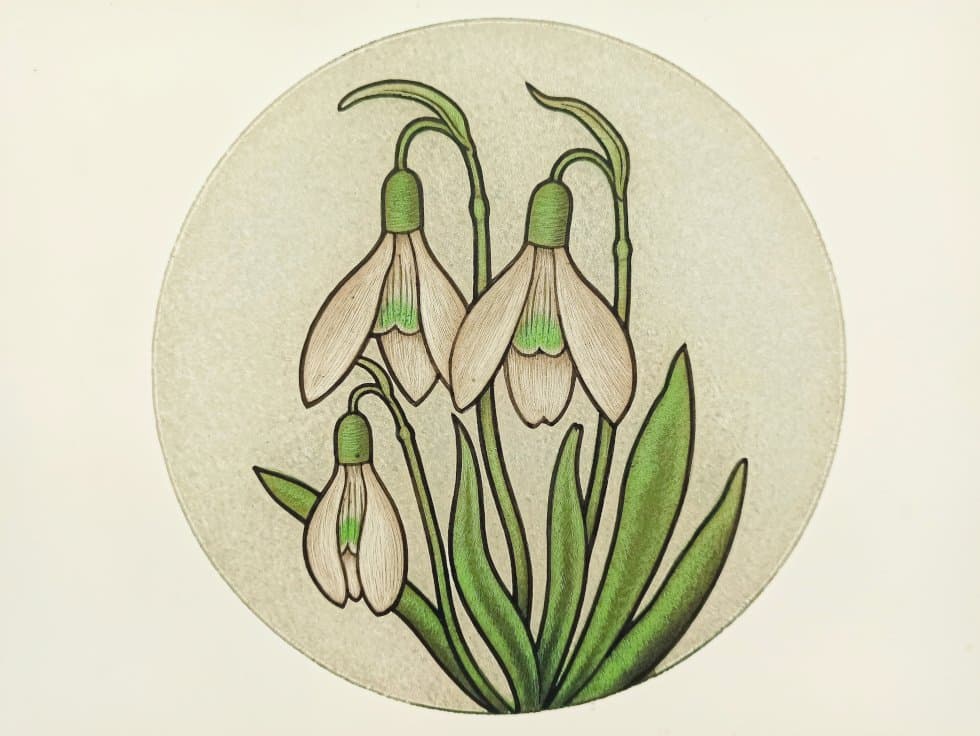 Snowdrop painted on glass