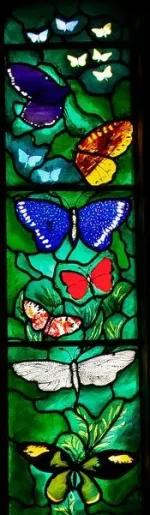 Butterflies Stained Glass John Piper